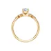 Solitaire Eternity Ring