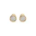 Illusion Earrings 102-10068