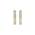 Eternity Earrings 102-10044/2