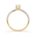 Solitär-Eternity-Ring 101-10023
