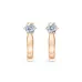 Solitaire Earrings with English Lock 102-10040(4.0)