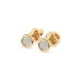 Illusion Earrings 102-10068